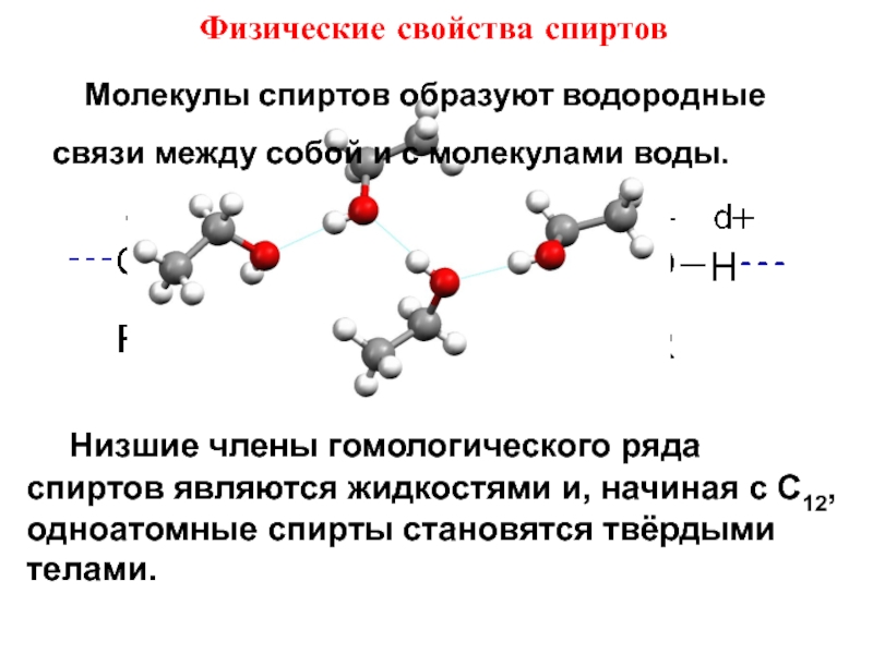 Водородные связи образуются между молекулами