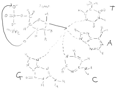 CF_3