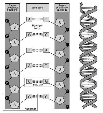 CF_3