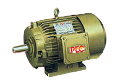 special-purpose-electric-motor